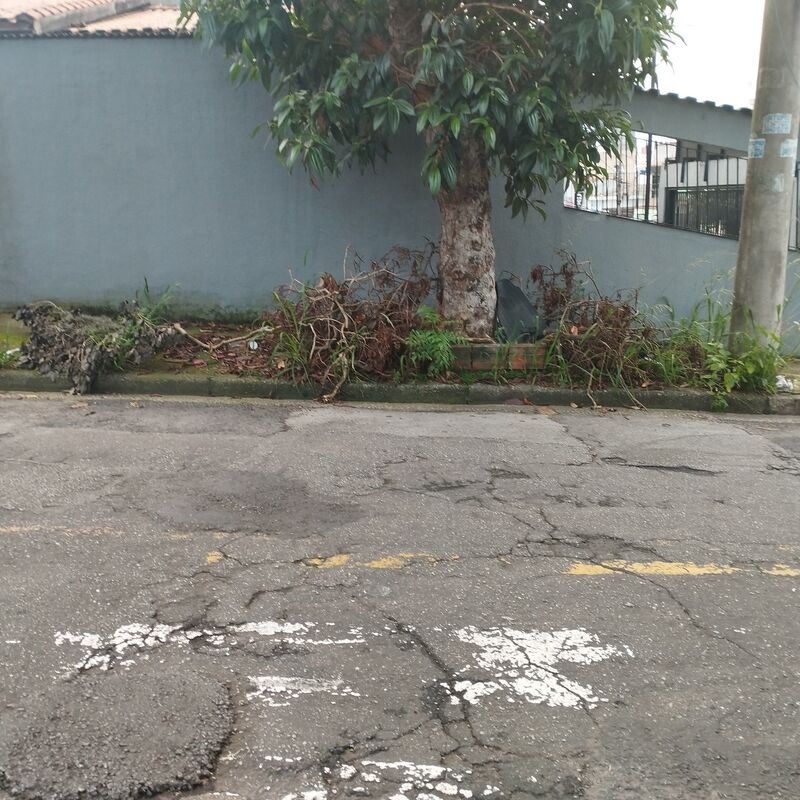 Imagem da publicação