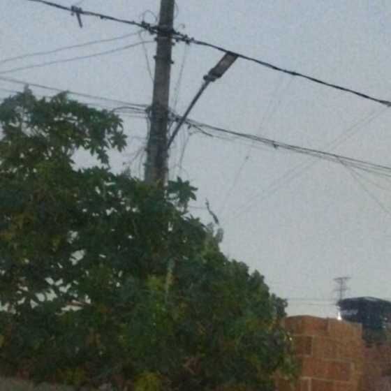 Imagem da publicação