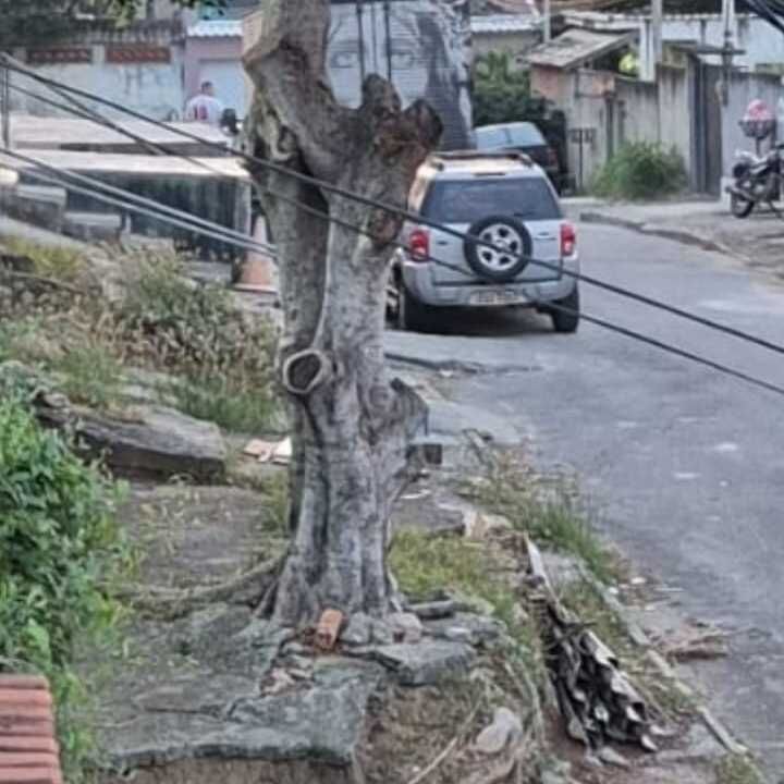 Imagem da publicação