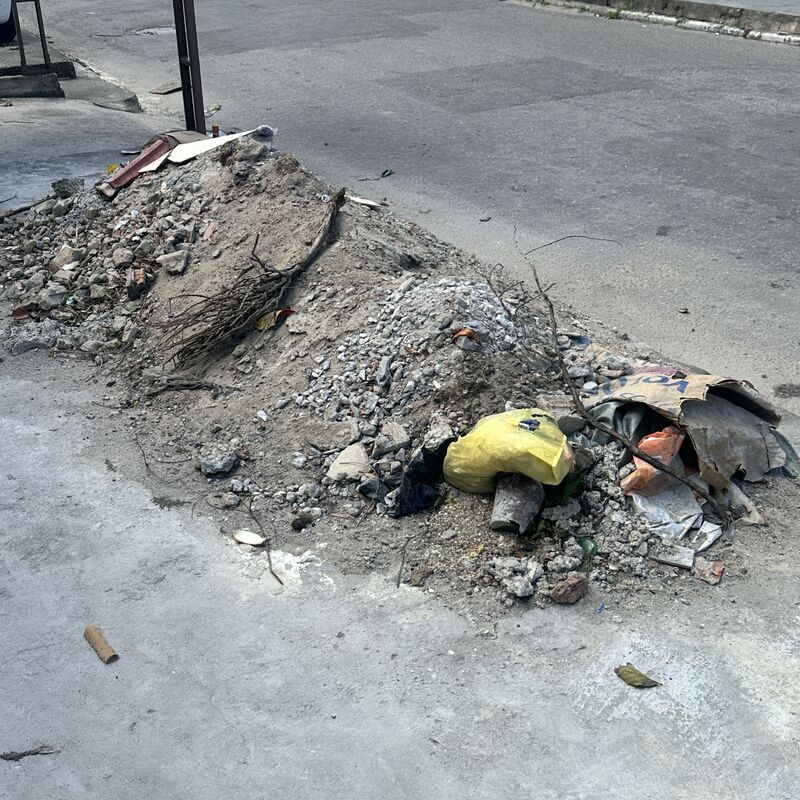 Imagem da publicação