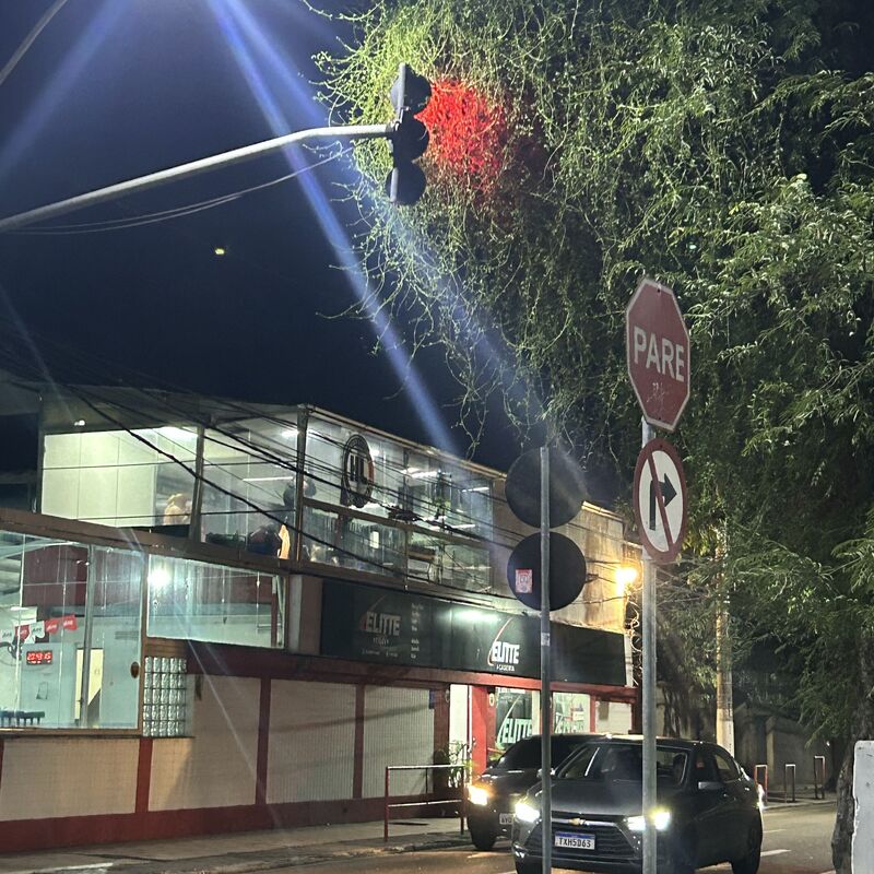 Imagem da publicação
