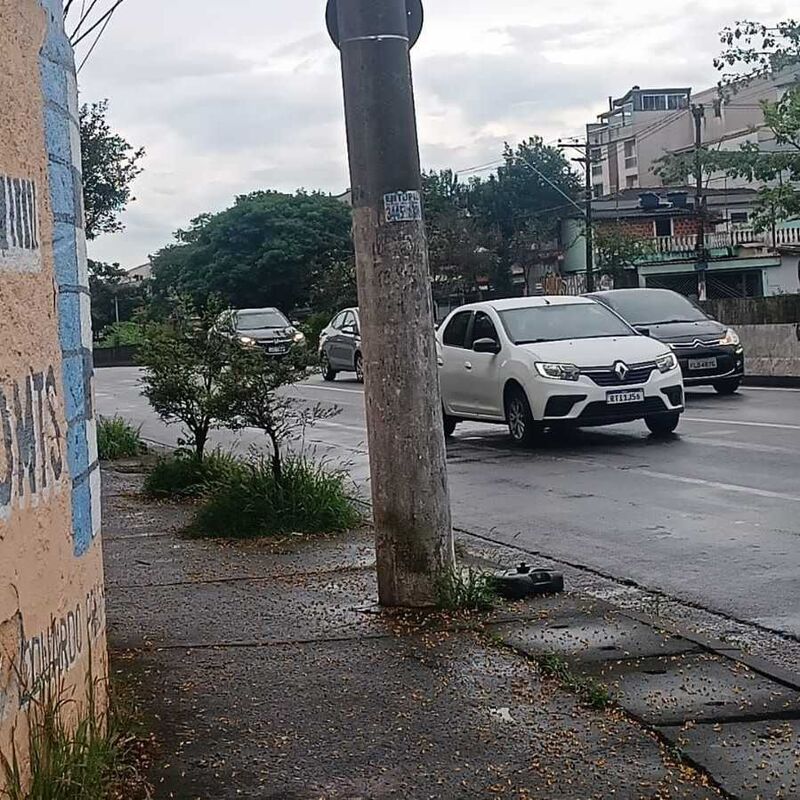 Imagem da publicação