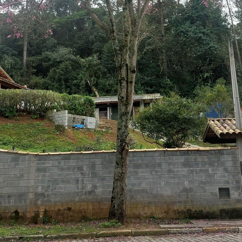 Imagem da publicação