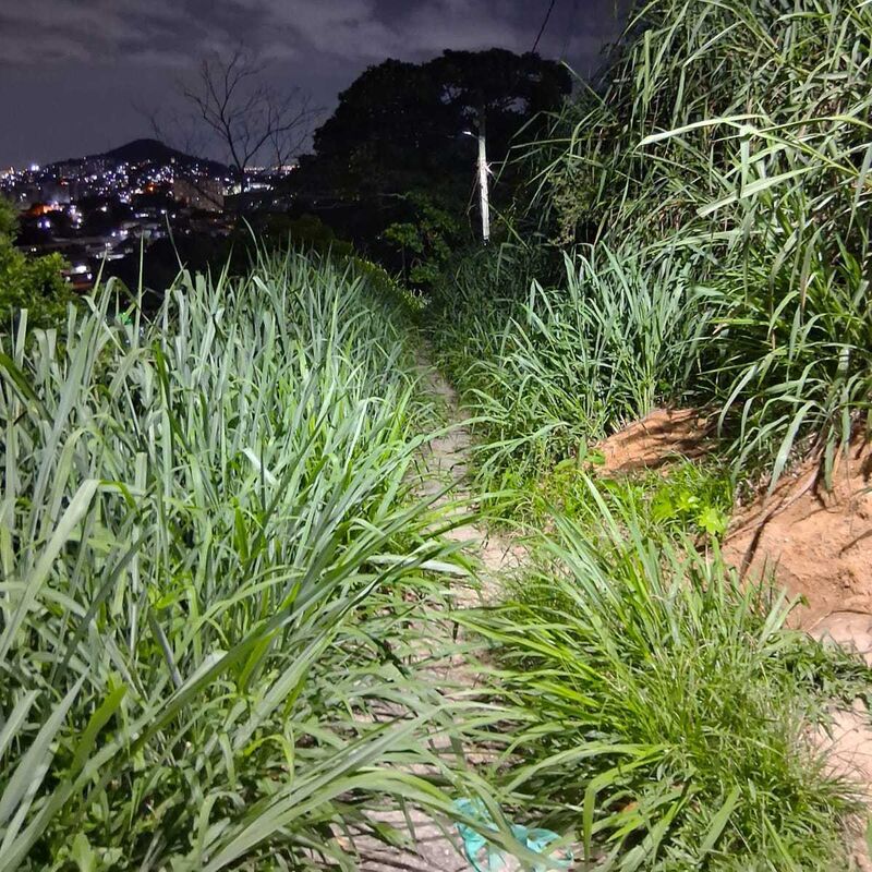 Imagem da publicação