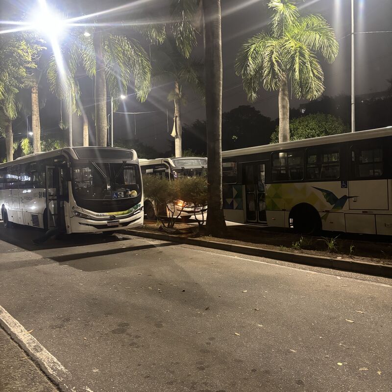 Imagem da publicação