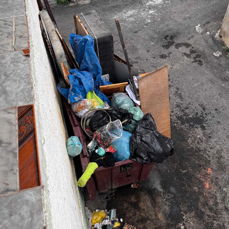 Imagem da publicação