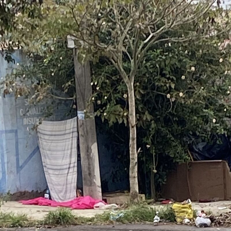 Imagem da publicação