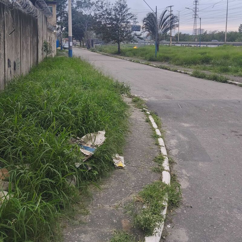 Imagem da publicação