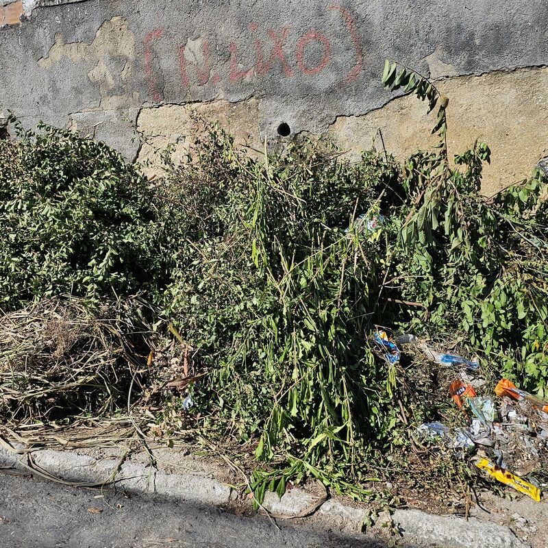 Imagem da publicação