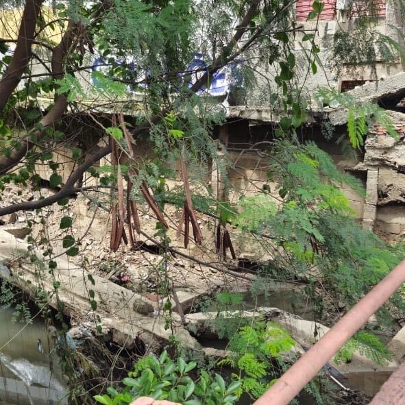 Imagem da publicação