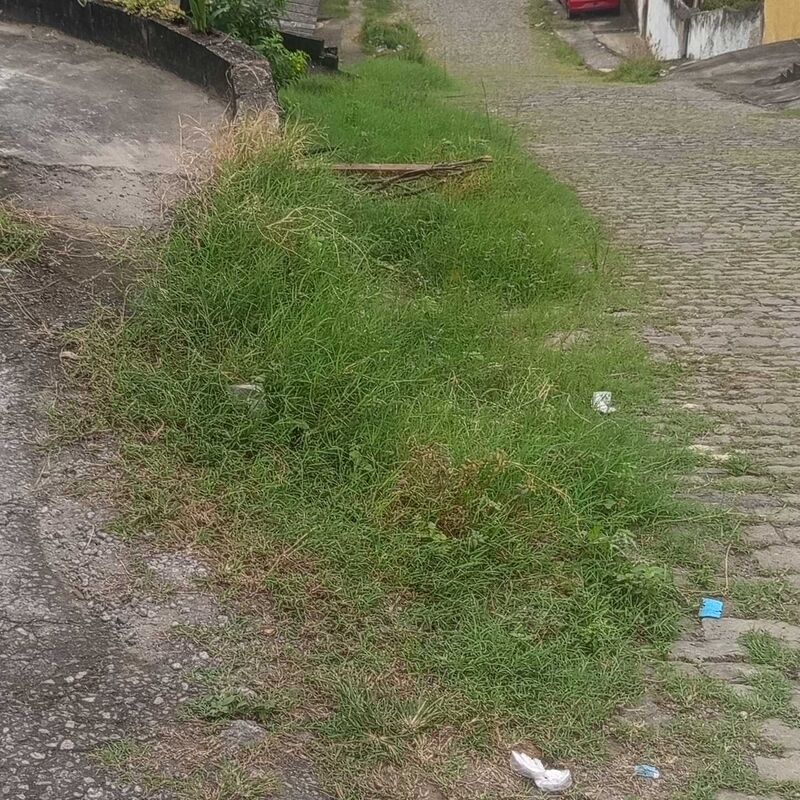 Imagem da publicação