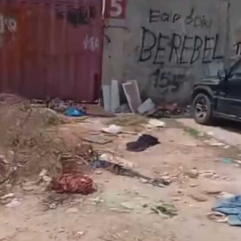 Imagem da publicação