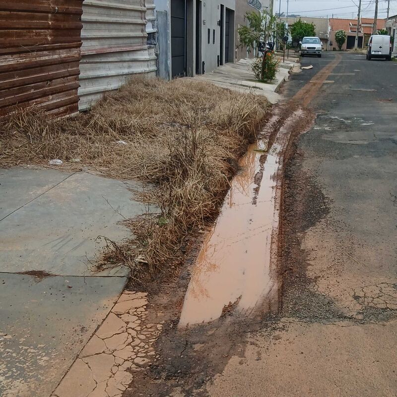 Imagem da publicação