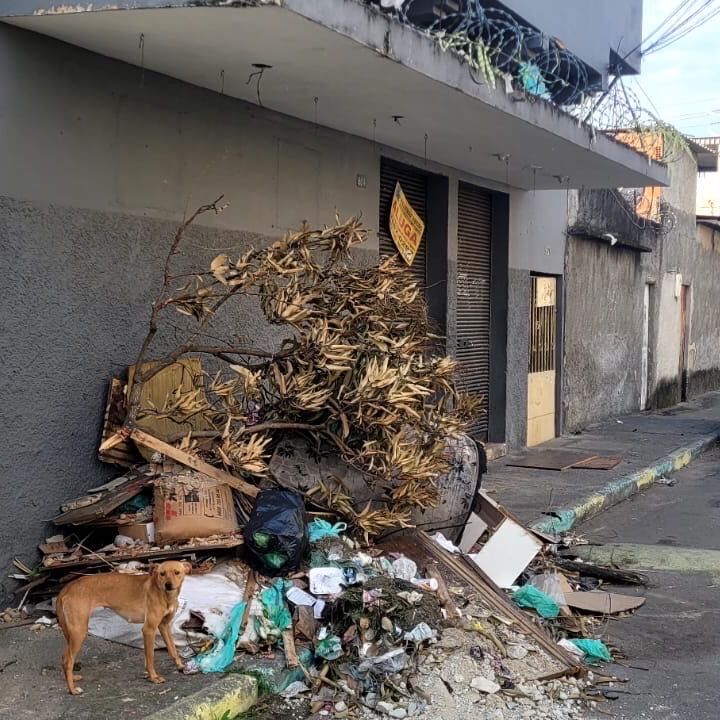 Imagem da publicação