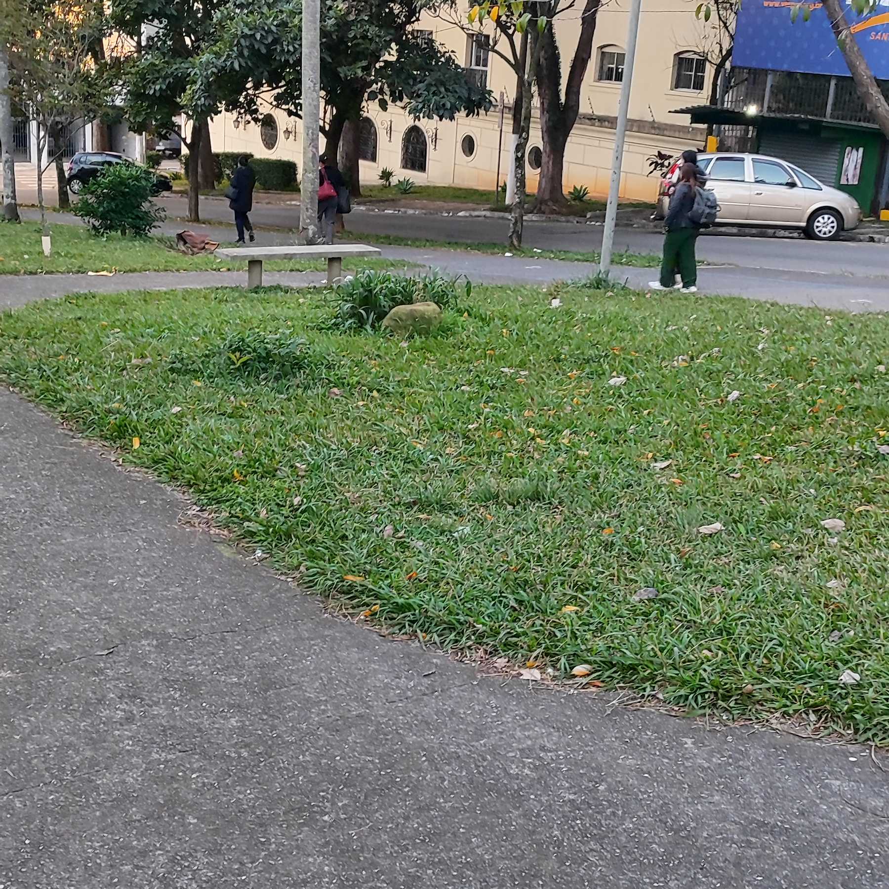 Imagem da publicação