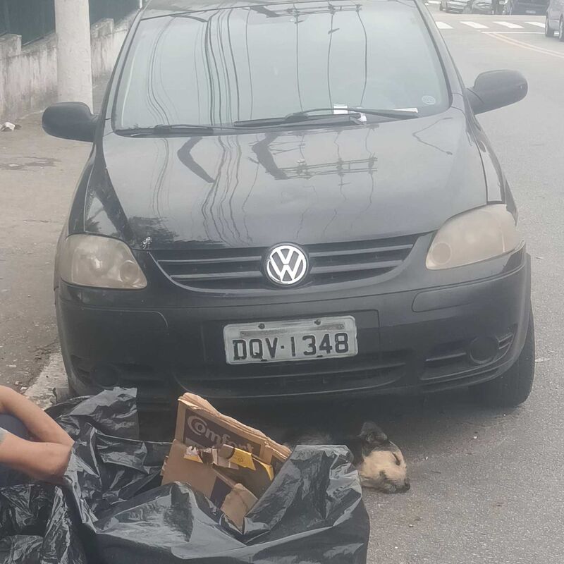 Imagem da publicação