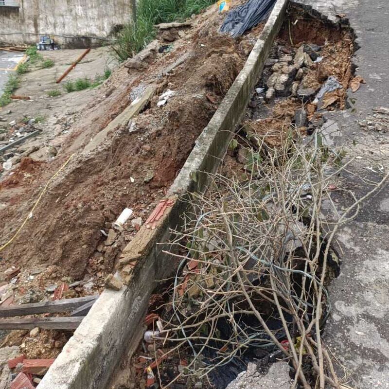 Imagem da publicação
