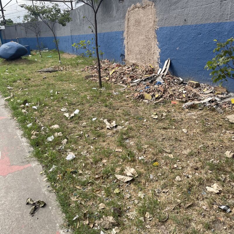 Imagem da publicação