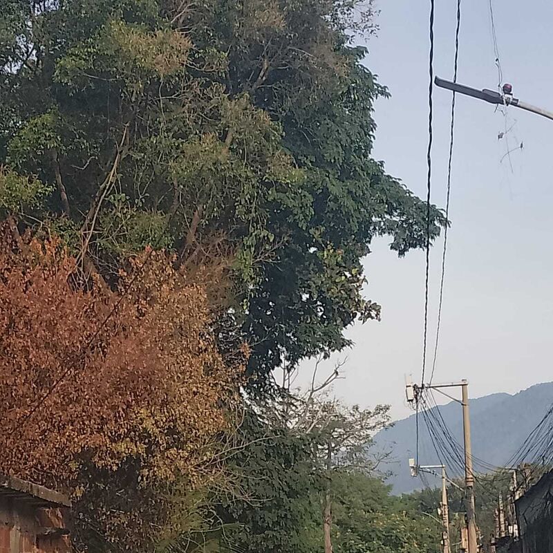 Imagem da publicação