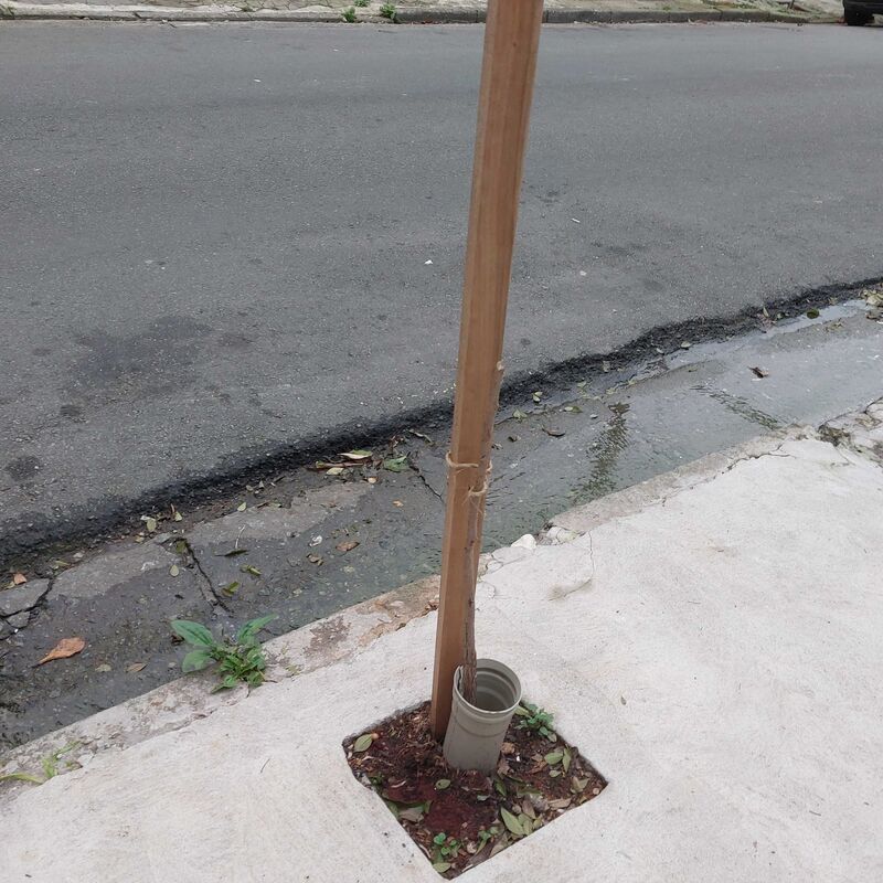 Imagem da publicação