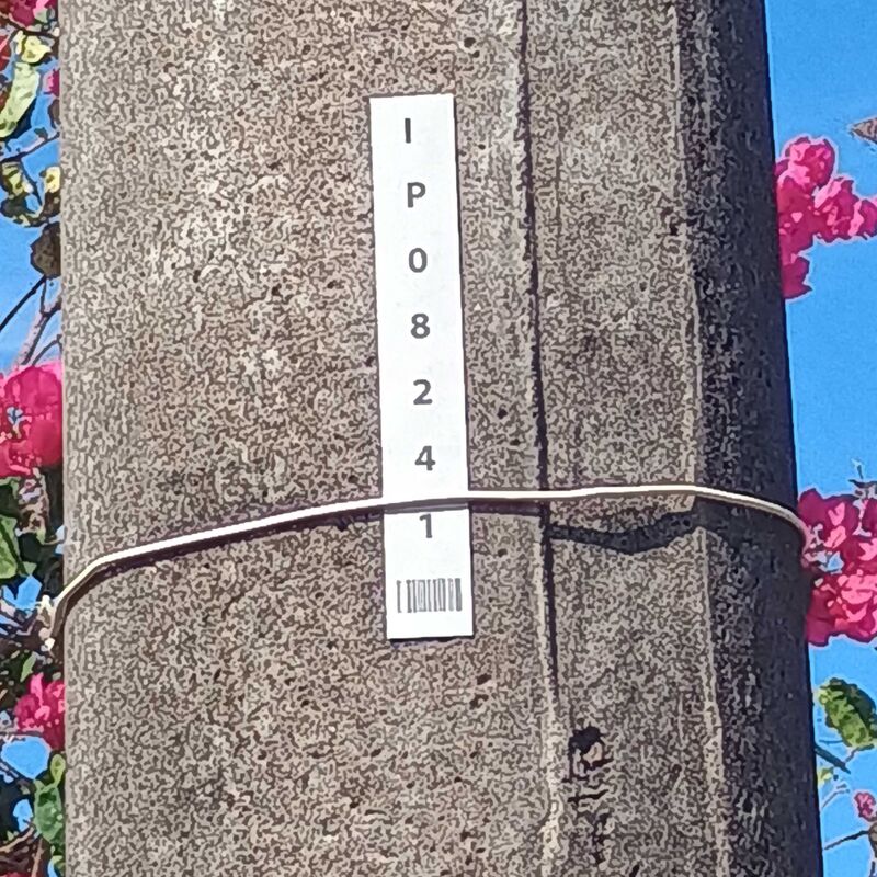 Imagem da publicação