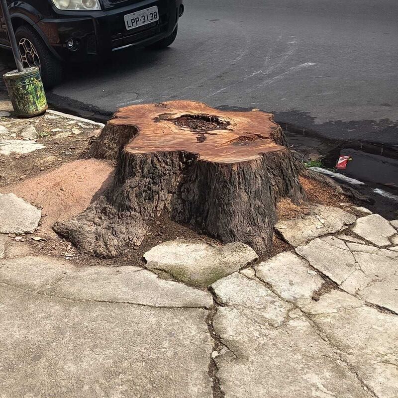 Imagem da publicação