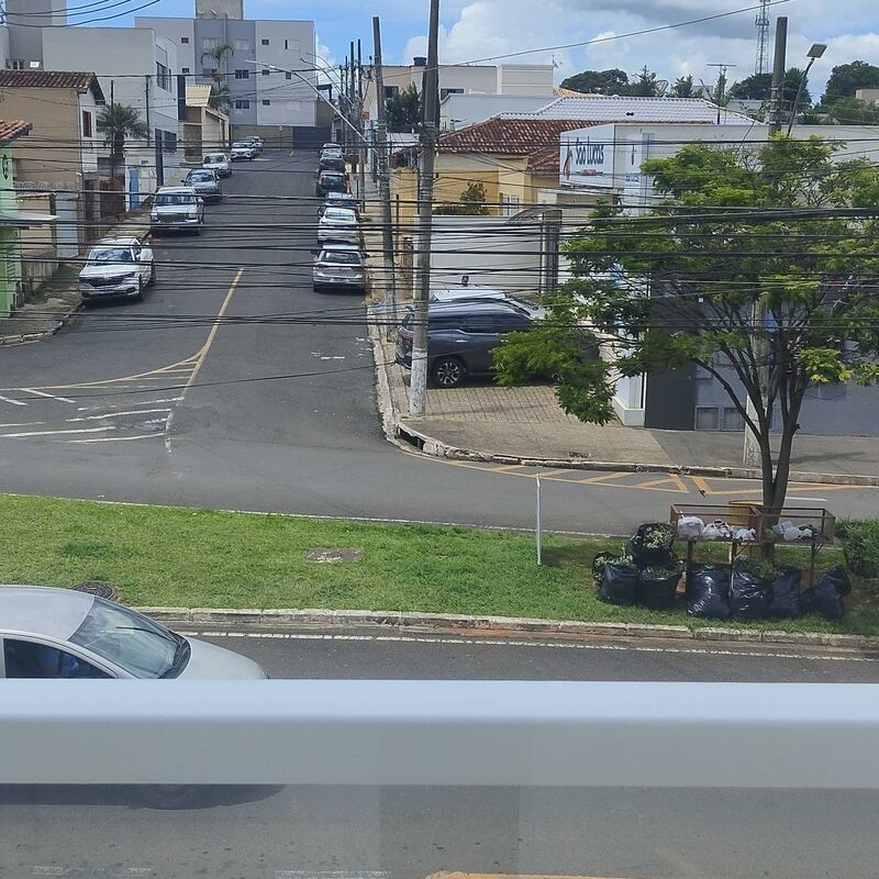 Imagem da publicação