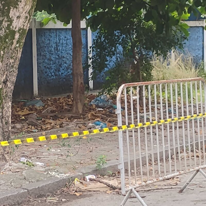 Imagem da publicação