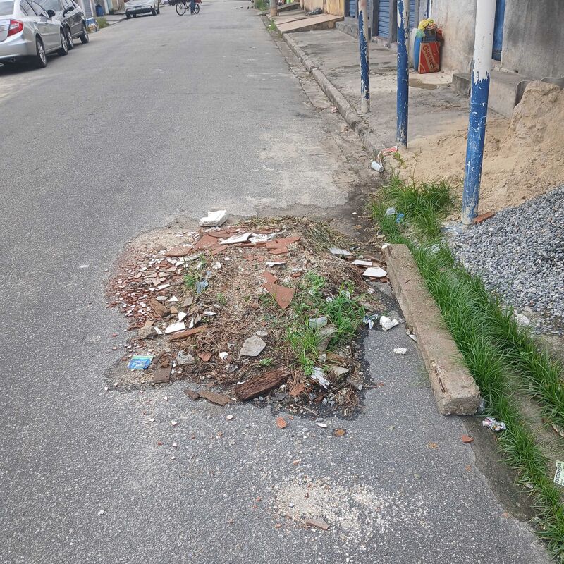 Imagem da publicação