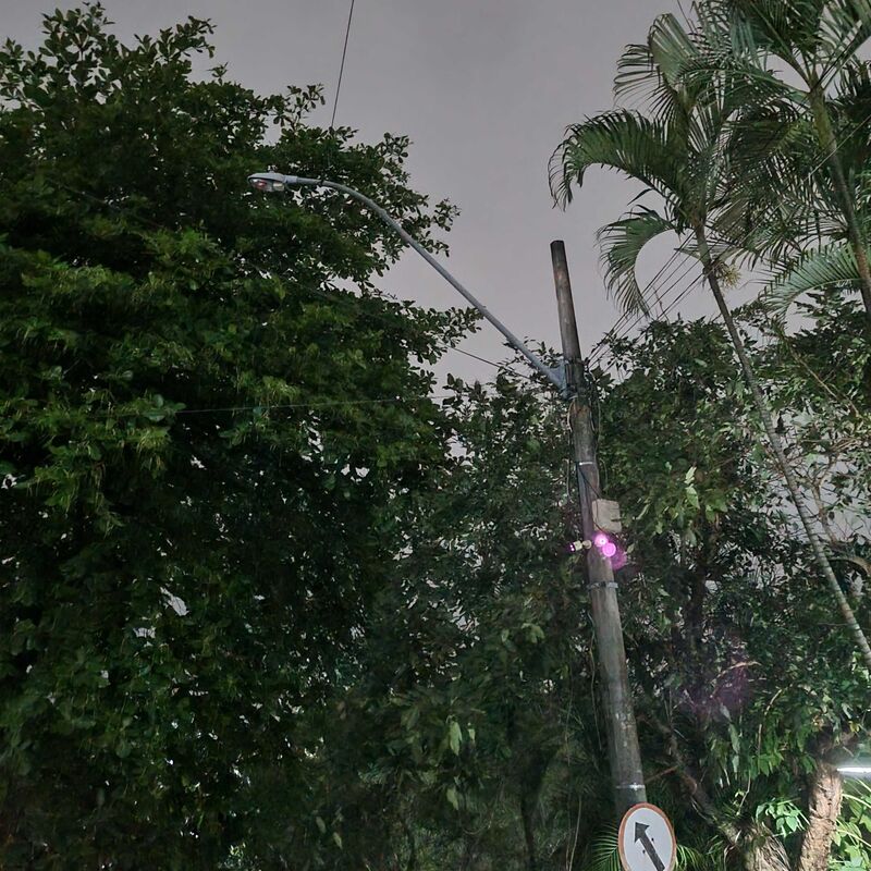 Imagem da publicação