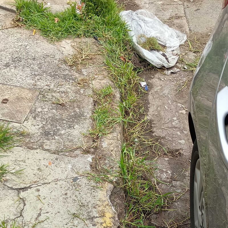 Imagem da publicação