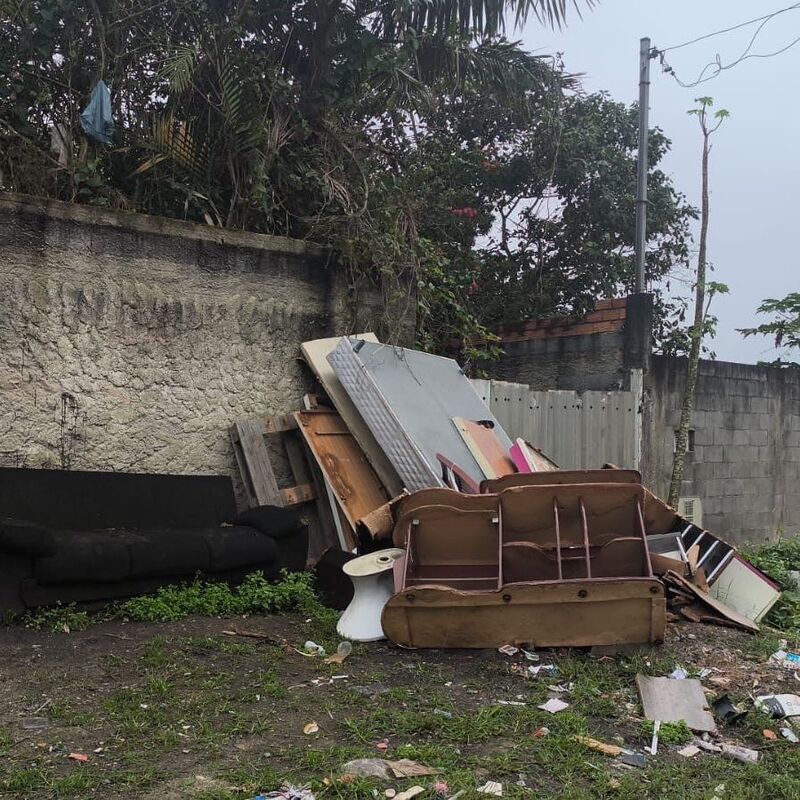 Imagem da publicação