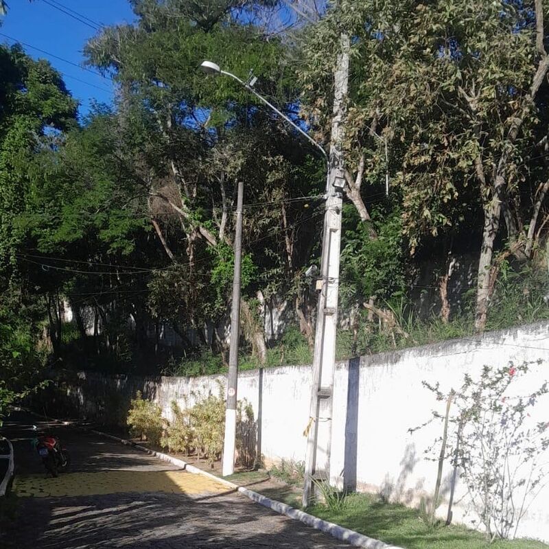 Imagem da publicação
