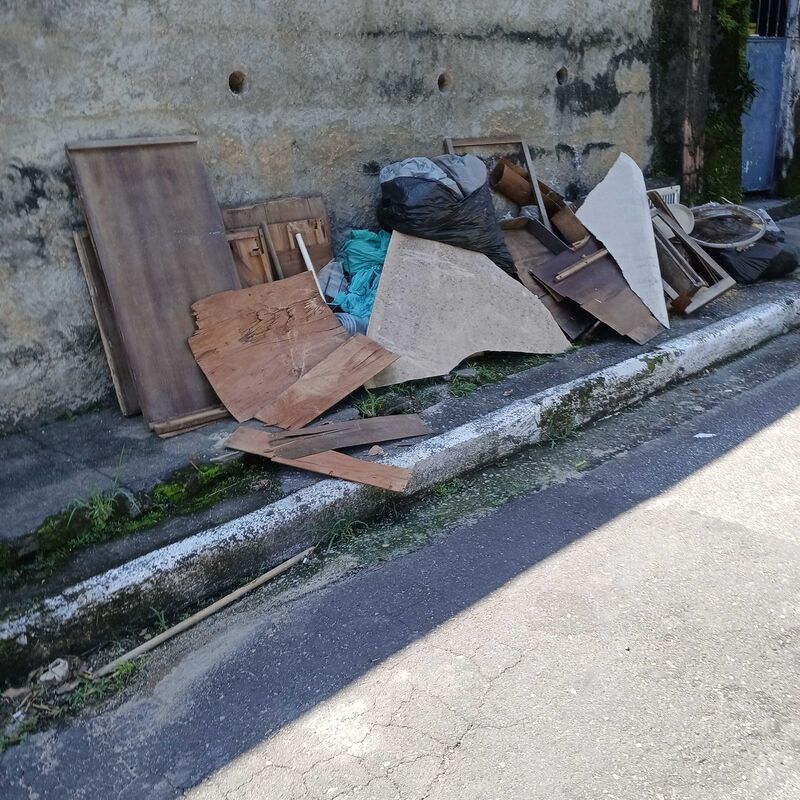 Imagem da publicação