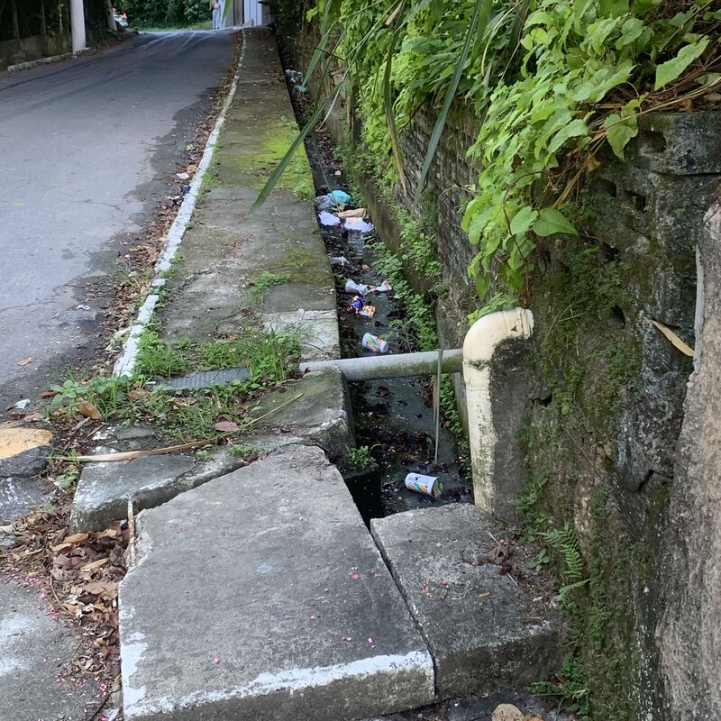 Imagem da publicação