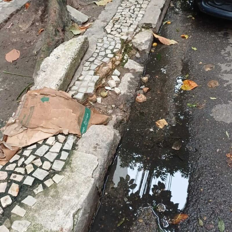 Imagem da publicação