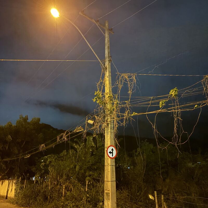 Imagem da publicação