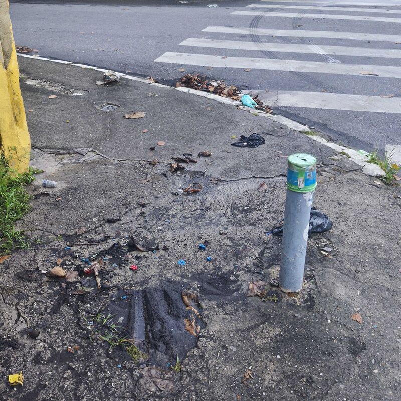 Imagem da publicação