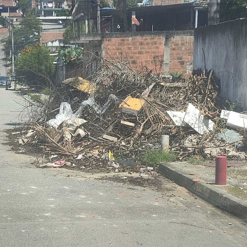 Imagem da publicação