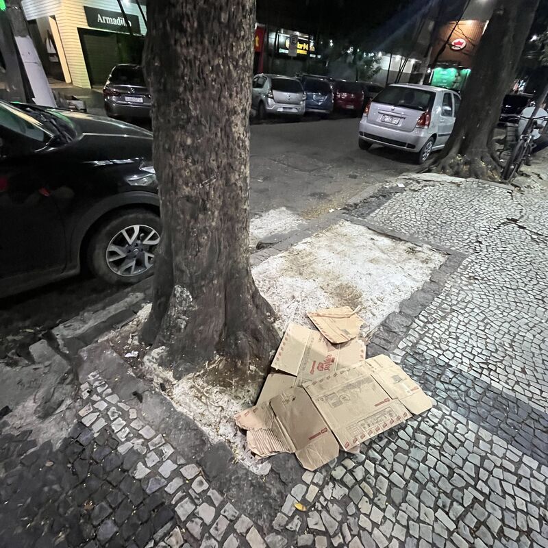 Imagem da publicação