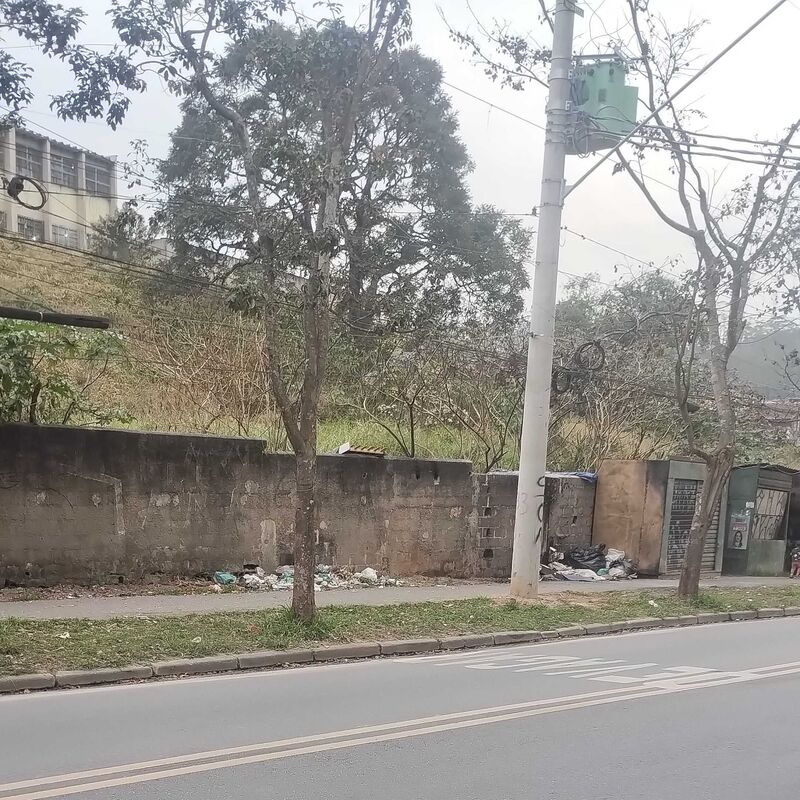 Imagem da publicação