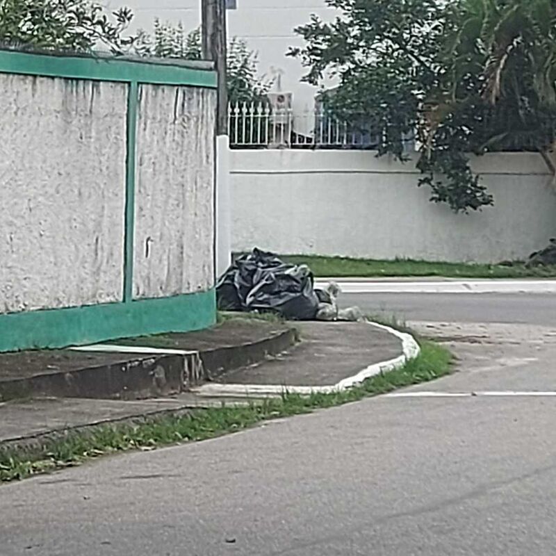 Imagem da publicação
