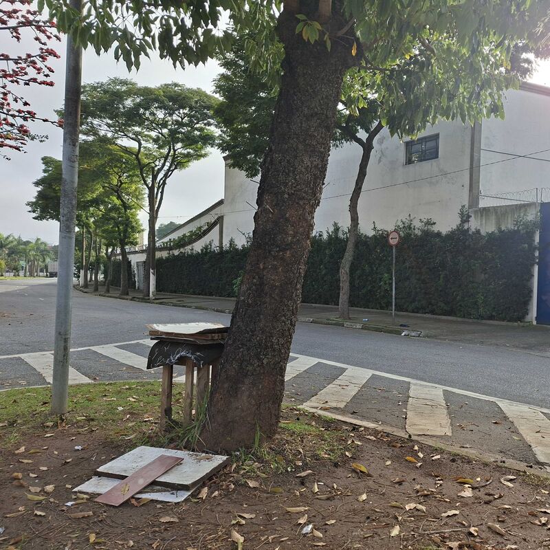 Imagem da publicação