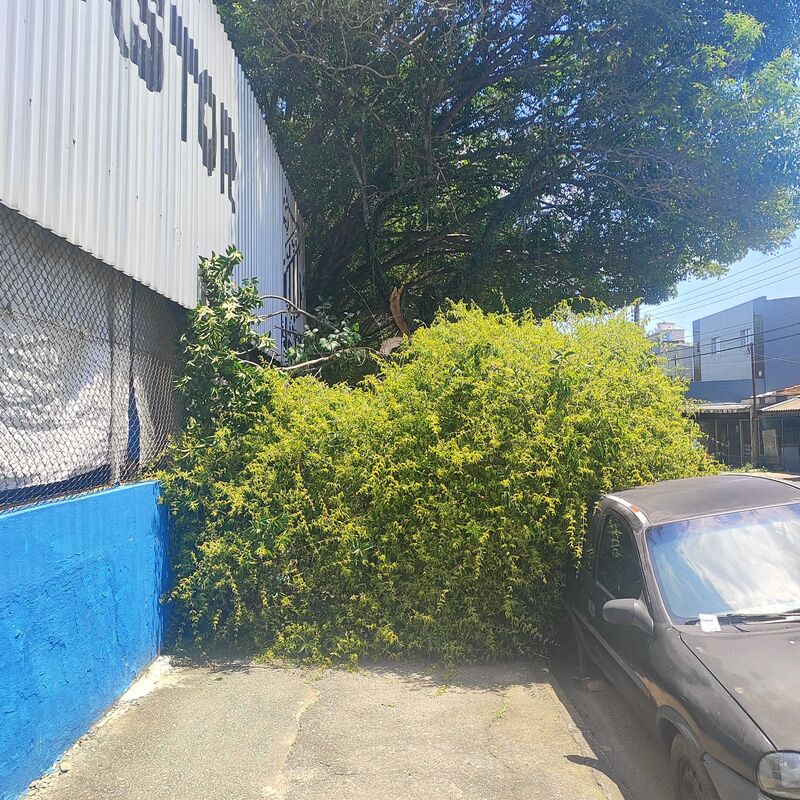 Imagem da publicação