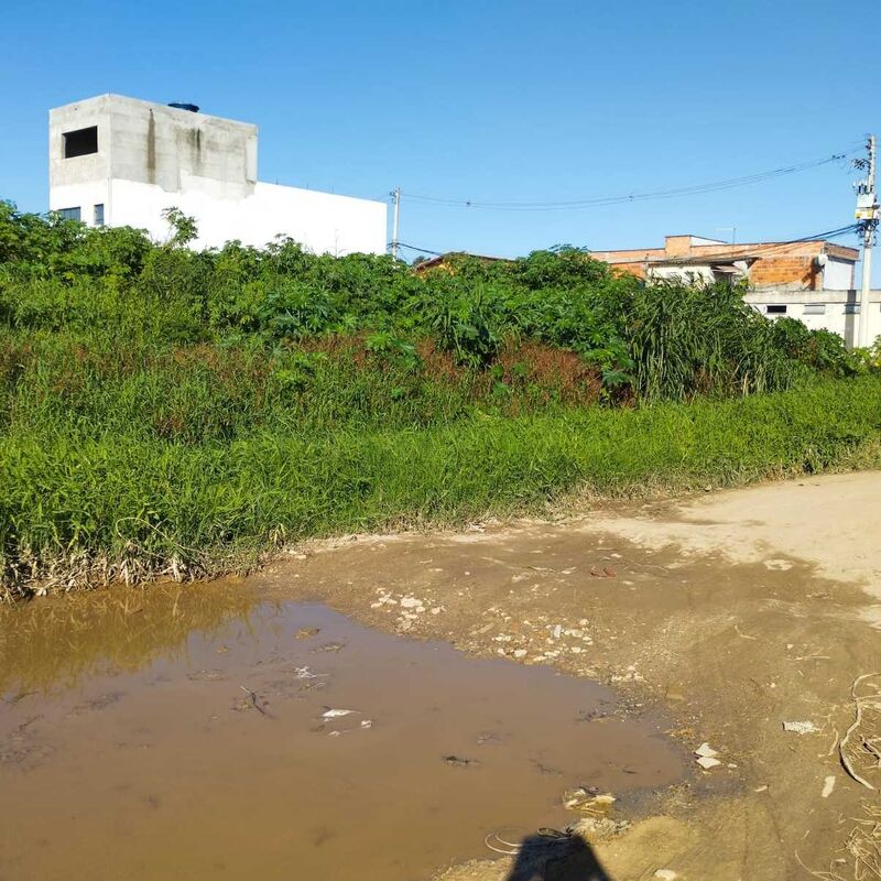 Imagem da publicação