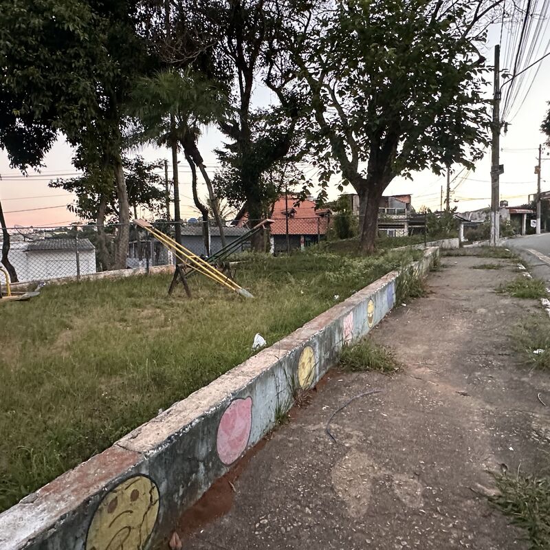 Imagem da publicação