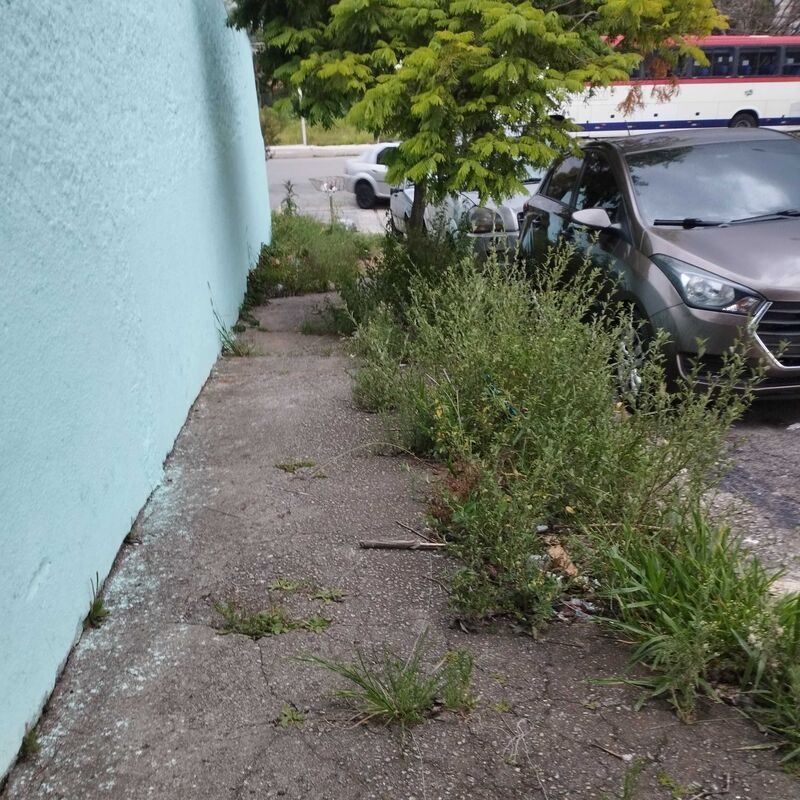 Imagem da publicação