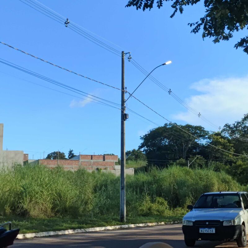 Imagem da publicação