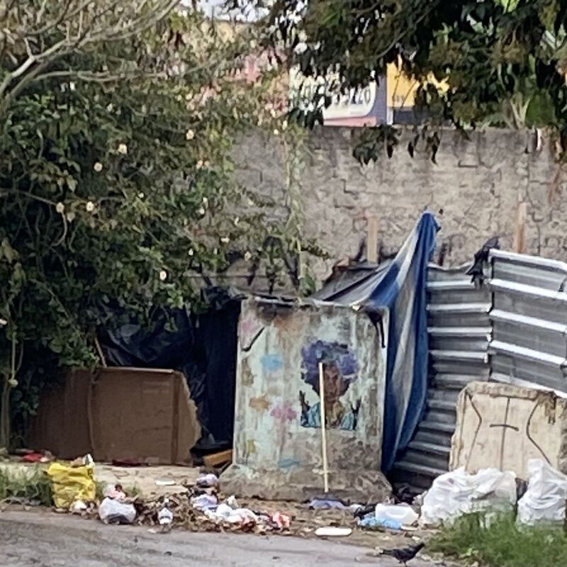 Imagem da publicação