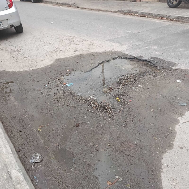 Imagem da publicação